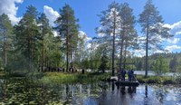 Experiences from the 2024 Summer Intensive Course