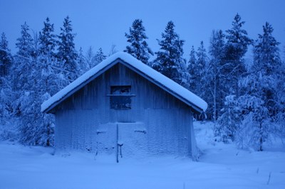 Kaamos