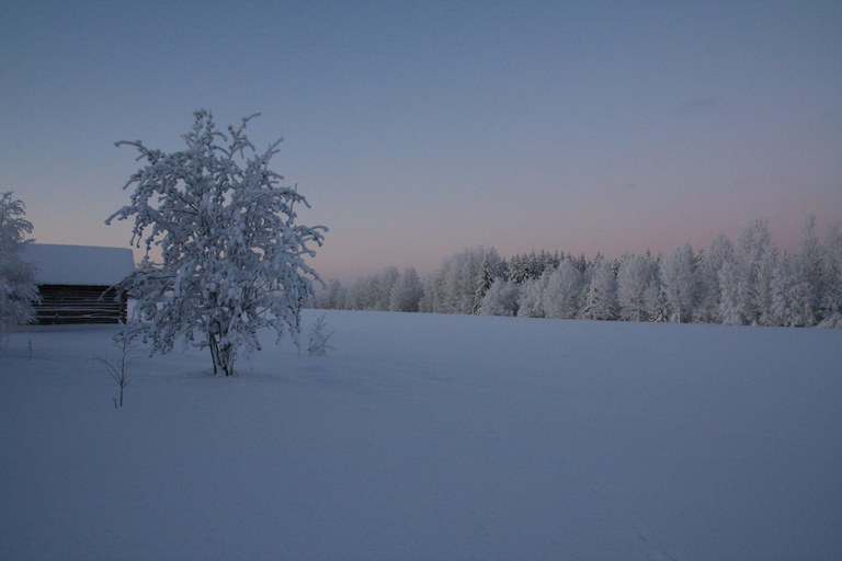 talvi6-kuviasuomesta.fi-roine-piirainen-scaled.jpg